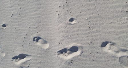 Footprints – An AFA&nbsp;Challenge