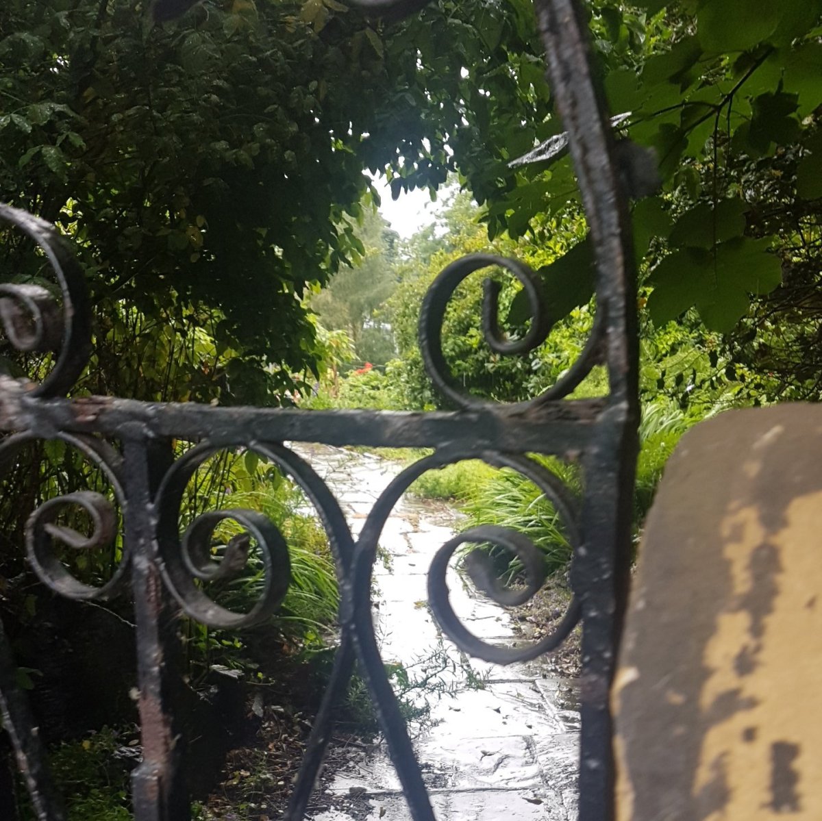 A letter to my wife – Gate – Daily&nbsp;prompt