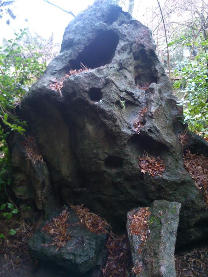 What has gone&nbsp;before