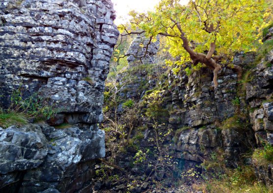 Brothers #writephoto