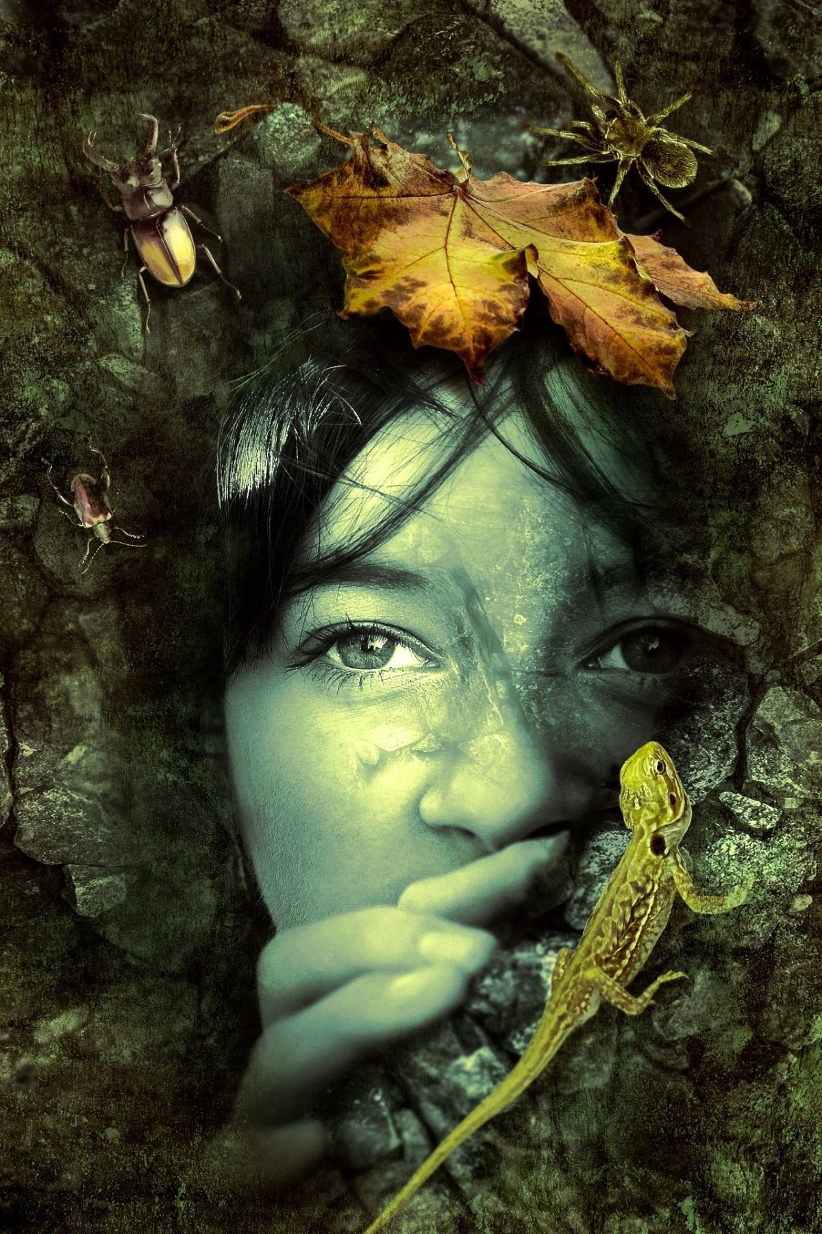 Faeries: The long&nbsp;winter