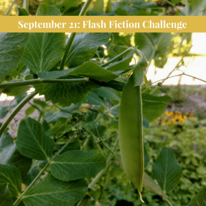 Harvest – 99 Word&nbsp;Challenge