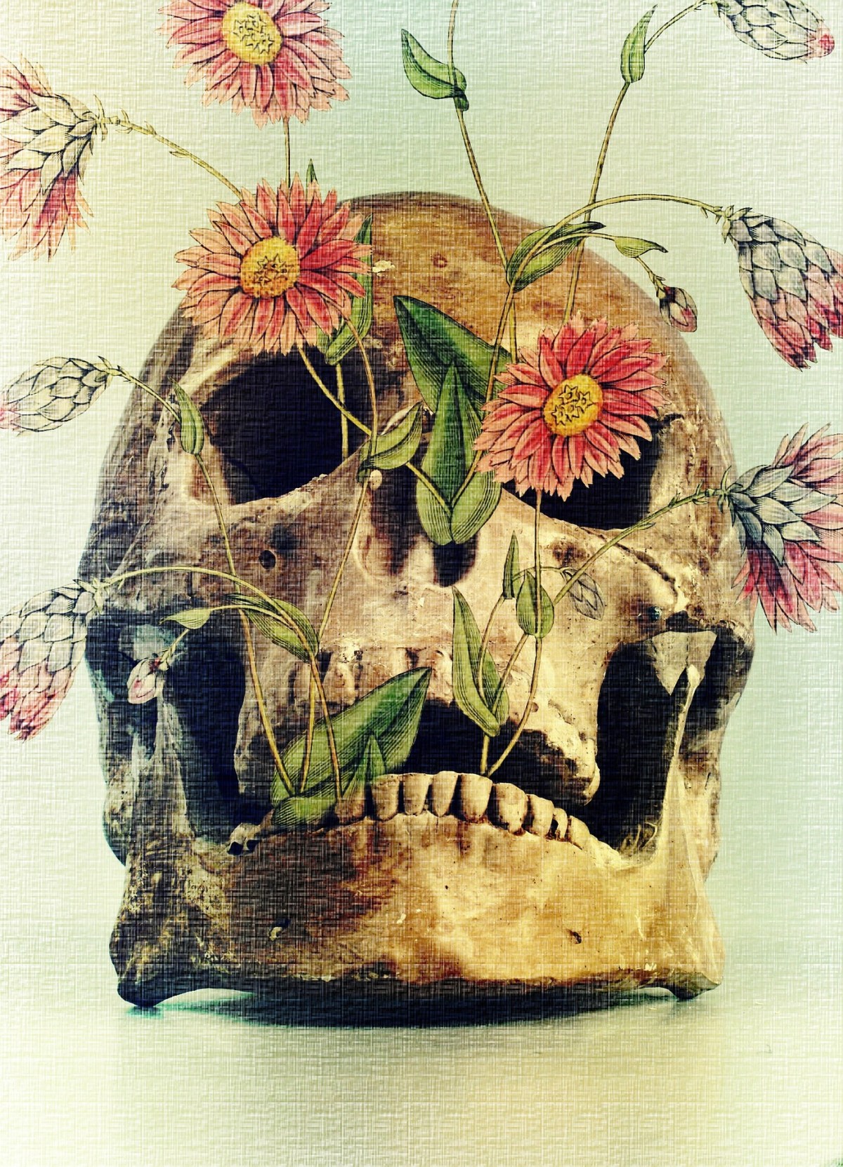 Let’s try be serious this week and see how it goes. >&nbsp;Sunday