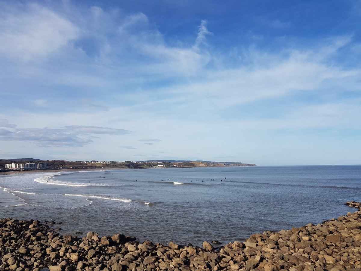 Just a normal&nbsp;Haiku