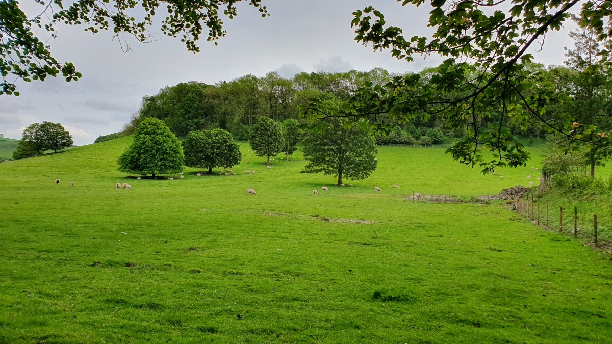 Out in the Van – Vale of Pickering and Thornton le&nbsp;Dale