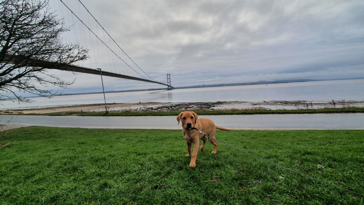 Theodore Rufus Doggington the 1st.  Say you love&nbsp;me…