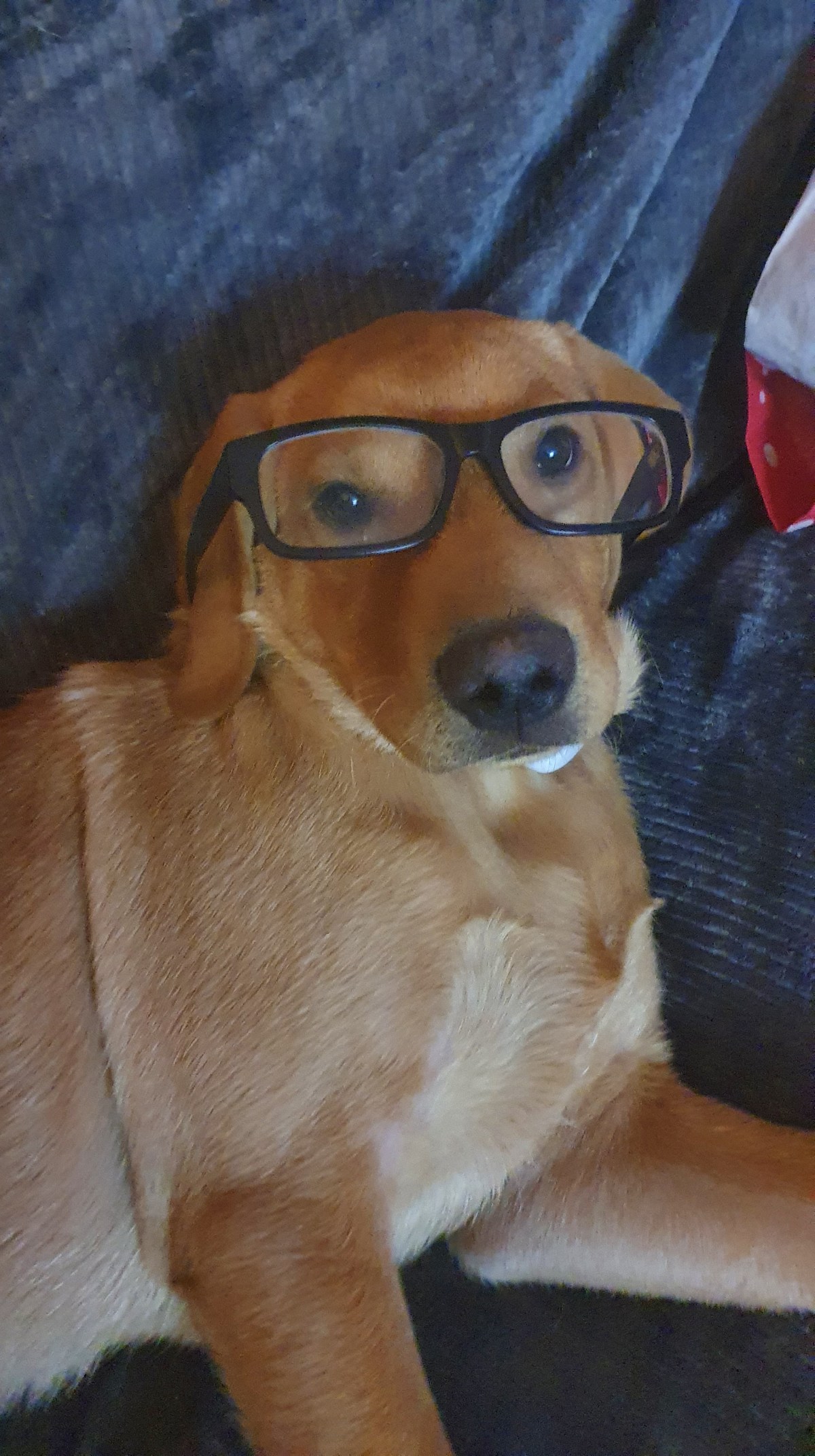 Theodore Rufus Doggington the 1st.  Words to live&nbsp;by.