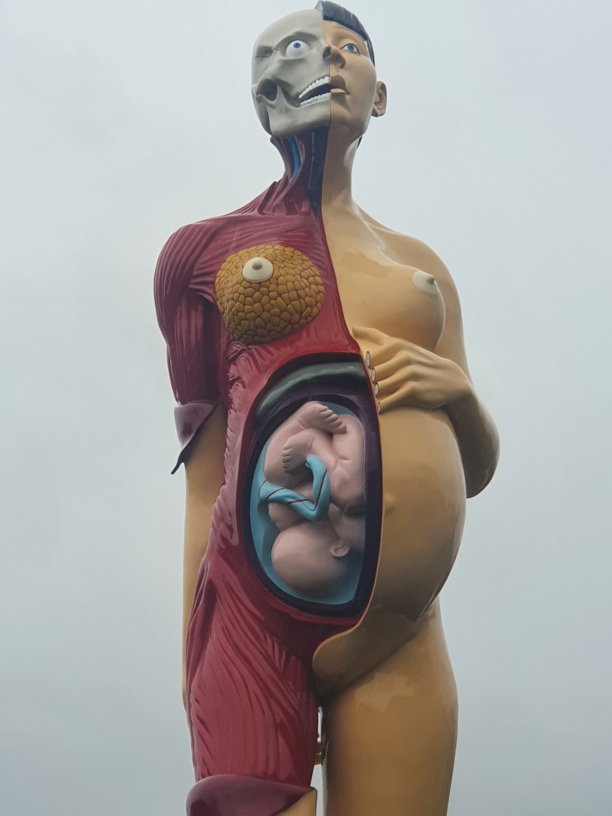 Out in the van – Yorkshire Sculpture&nbsp;Park