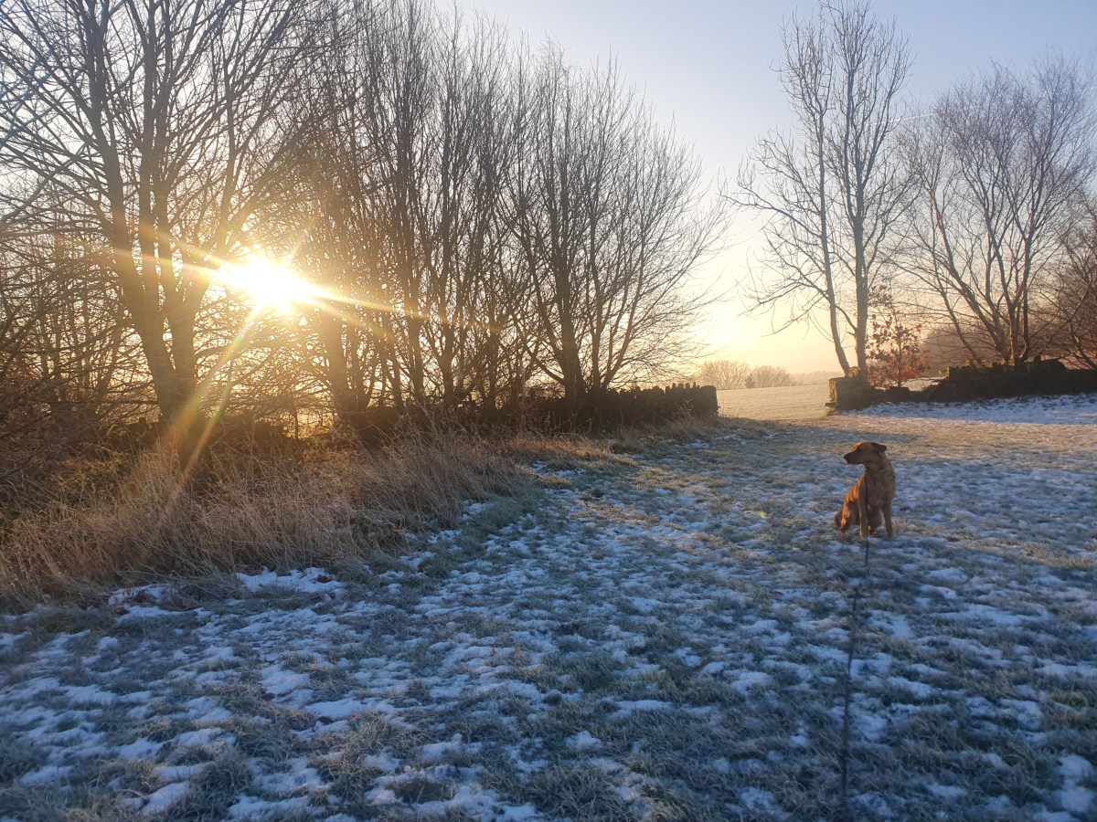 January 2023 in&nbsp;photos