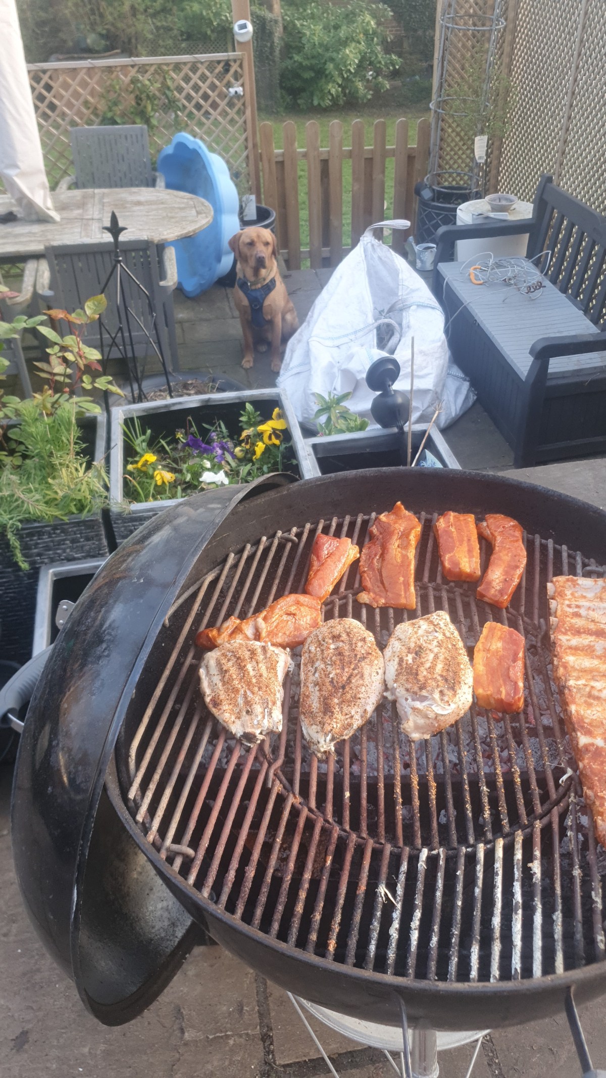 On the matter of eating endangered&nbsp;species