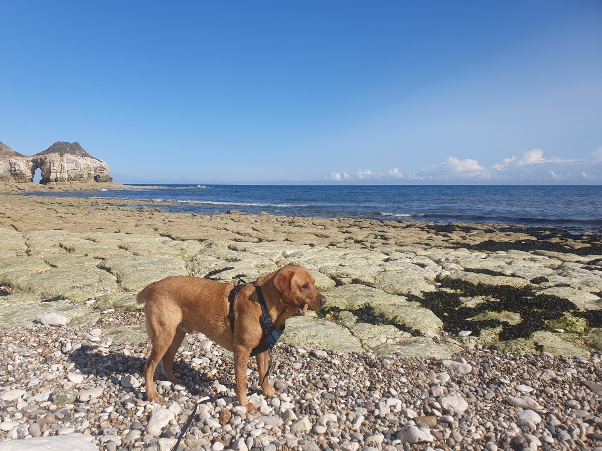 Out in the van –&nbsp;Bridlington