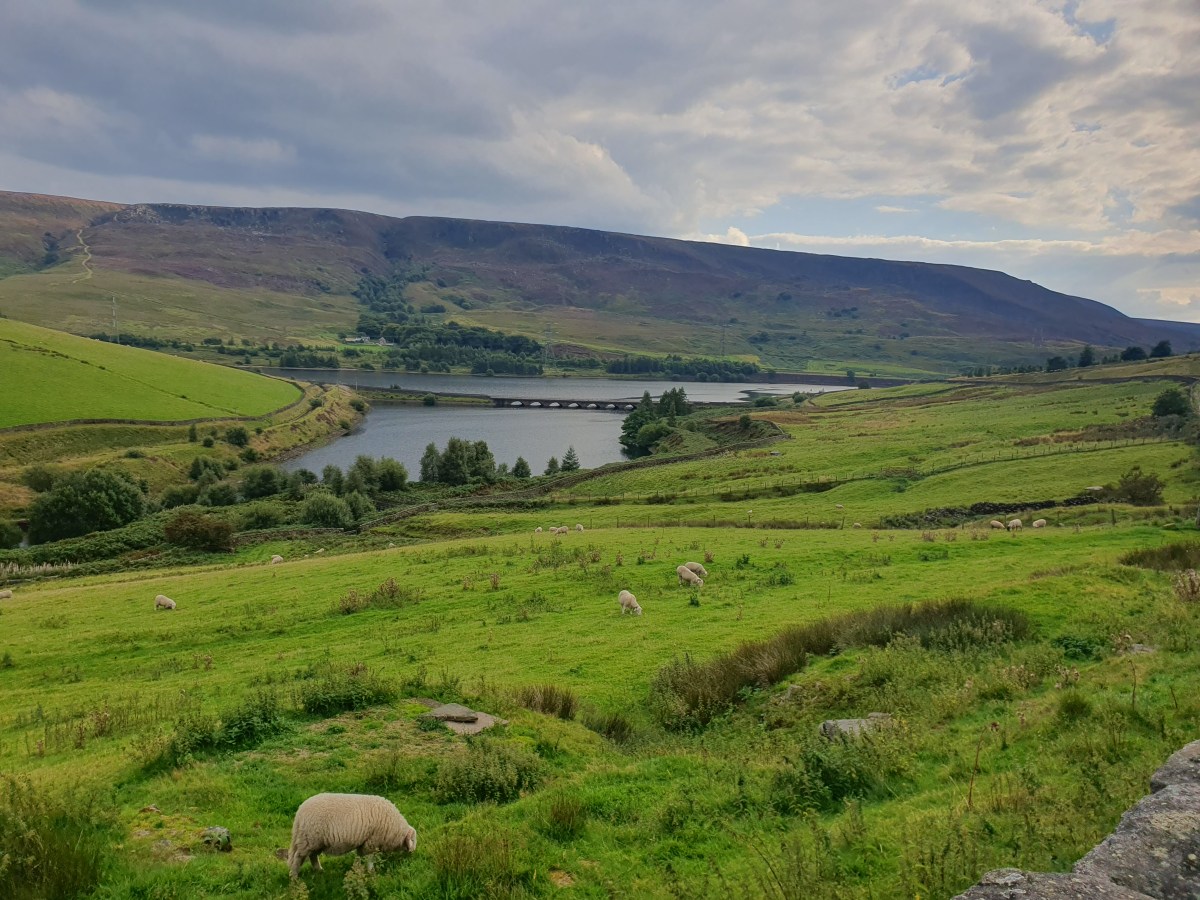 Out in the van –&nbsp;Glossop