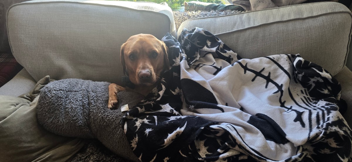 Theo on a&nbsp;Thursday.