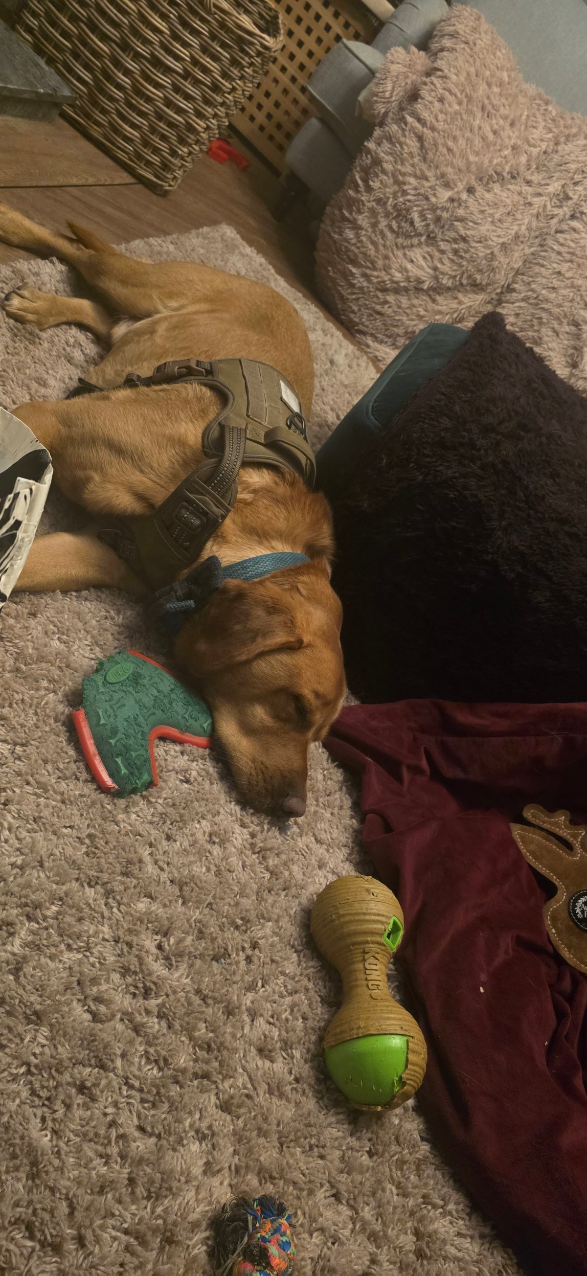 Theo on a&nbsp;Thursday.