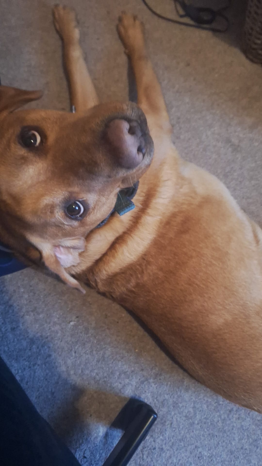 Theo on a&nbsp;Thursday.